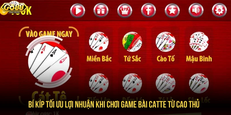 Bí kíp tối ưu lợi nhuận khi chơi game bài catte từ cao thủ