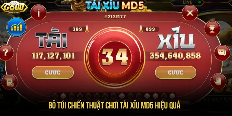 Bỏ túi chiến thuật chơi tài xỉu MD5 hiệu quả