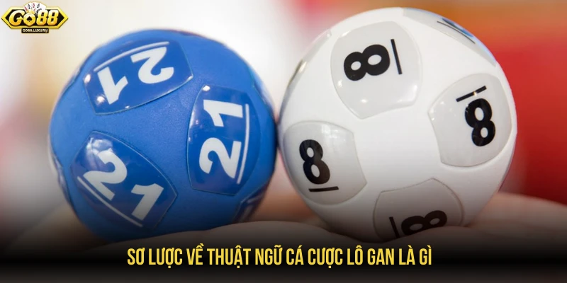 Sơ lược về thuật ngữ cá cược lô gan là gì